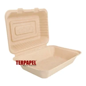 Caixa Alimentos Bagaço Natural